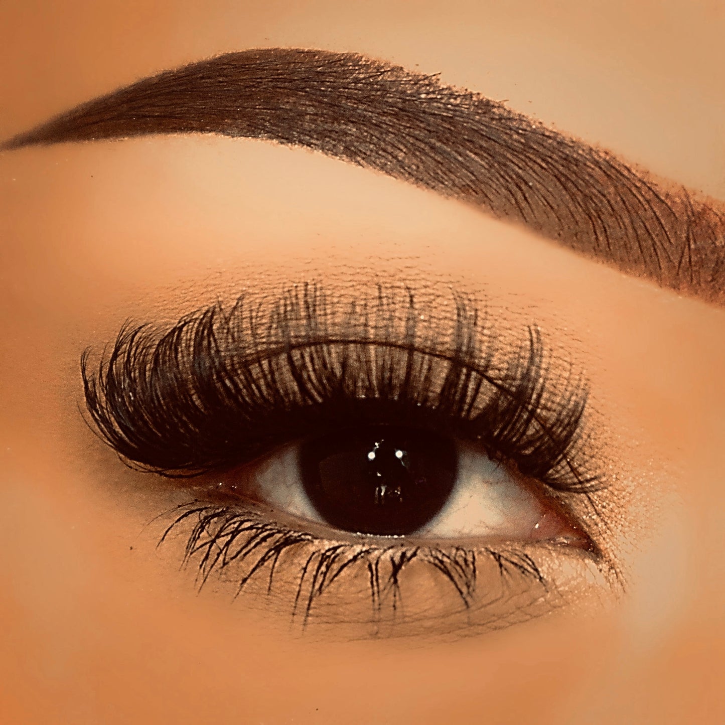 Gloria - 4D Luxury Synthetic Easy To Apply Hand Made Lashes - The Pink Makeup Box
