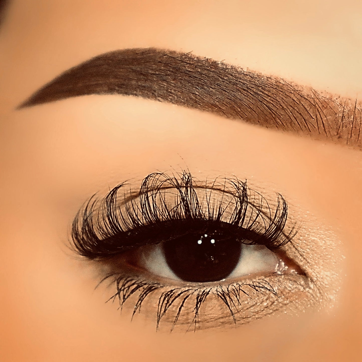 Lynn - 4D Luxury Synthetic Easy To Apply Hand Made Lashes - The Pink Makeup Box