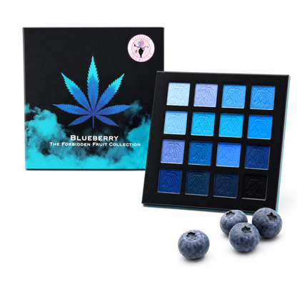 BLUEBERRY EYESHADOW PALETTE - All The Blues You Need!!