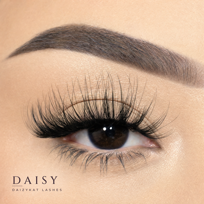 Daisy - 4D Luxury Synthetic Easy To Apply Hand Made Lashes