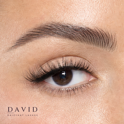 David - 4D Luxury Synthetic Easy To Apply Hand Made Lashes