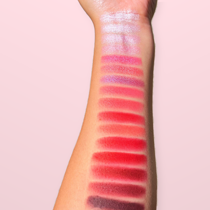 151 BIN - RED APPLE EYESHADOW PALETTE - All The Reds You Need!!