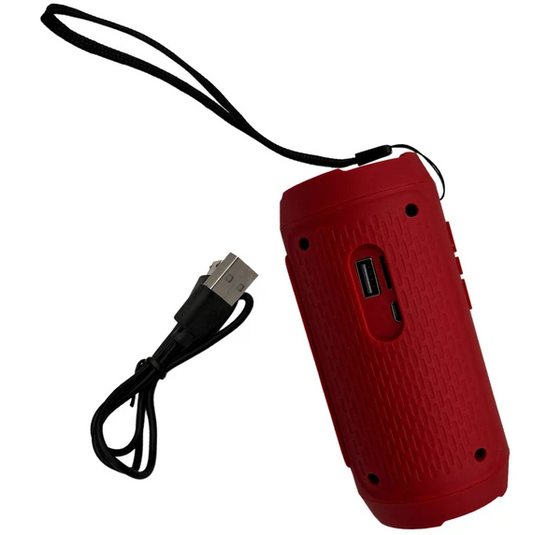293 BIN - PORTABLE WIRELESS SPEAKER